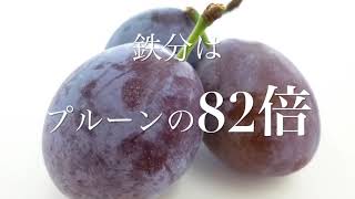 モリンガの成分　奇跡の木と呼ばれるモリンガの驚くべき栄養素が凄すぎる！リーフサイエンス　movie