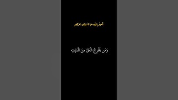 الشيخ محمد أيوب | سورة يونس