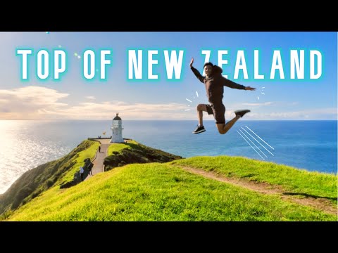 Video: 10 Pantai Terbaik di Northland, New Zealand