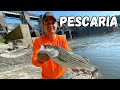 Vamos começar as pescarias