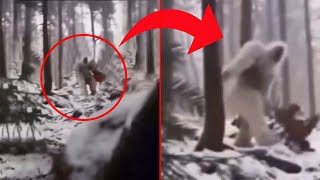 Yeti Attacked Hiker , What Happened Next Shocked Everyone