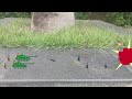 6946坦克和AK冲锋枪士兵防守，敌军普通MP40冲锋枪士兵和GrW-34 迫击炮士兵冲锋