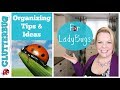 Organizing Tips and Ideas for LadyBugs - Clutterbug Organization Series