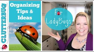 Organizing Tips and Ideas for LadyBugs - Clutterbug Organization Series