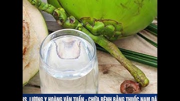 Bài thuốc chữa Gout từ nước dừa và lá trầu không