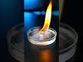 Turning a Rose into a Speaker with Electricity 🌹⚡ #Shorts #TeslaCoil #PurpleLight #Physics