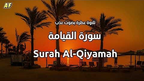 75- سورة القيامة بصوت شجي وجميل - القارىء الشيخ علاء عقل