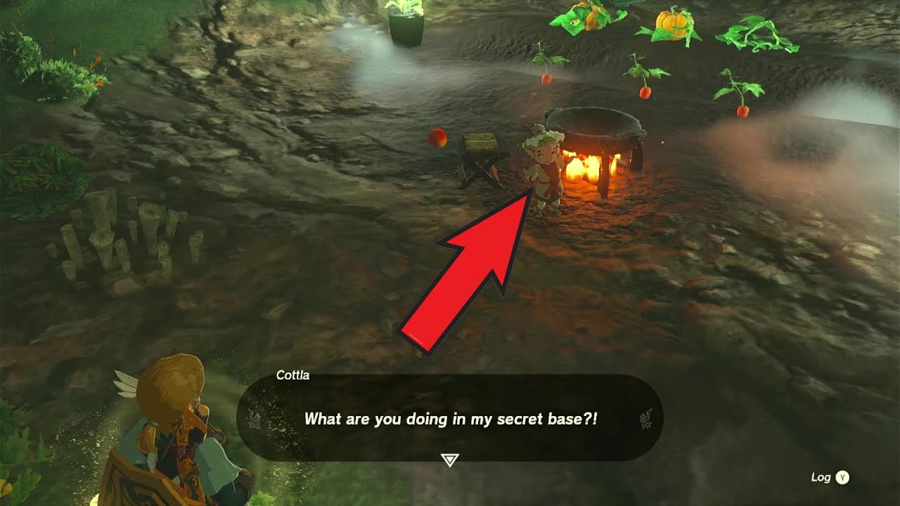 Legend of Zelda: Tears of the kingdom | Cottla is in the secret well!