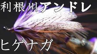 利根川アンドレ　ヒゲナガ