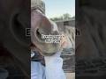 Night Ranch Routine #horse #equestrian #smallranch #riding # #horseriding  #ranchsorting
