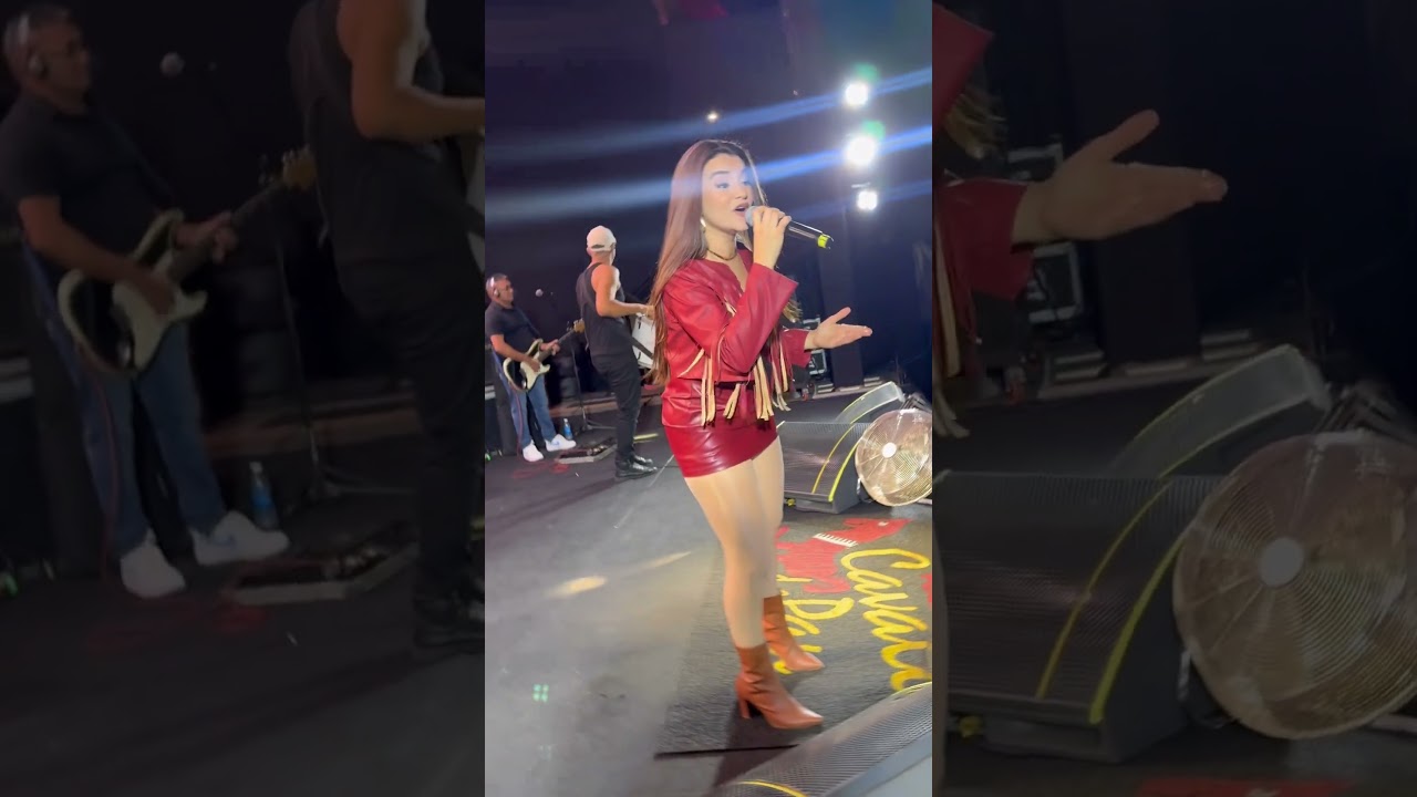 Brincar de amar / cavalo de pau