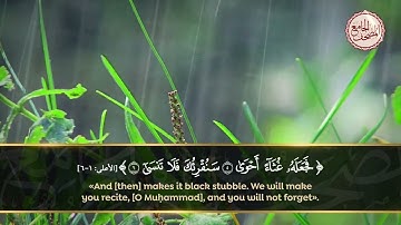 تلاوة هادئة لآيات من سورة الأعلى بصوت القارئ عبد الرحمن المسعد.. سبح اسم ربك الأعلى 1-6