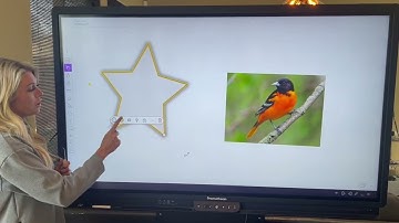 Explain Everything - Hand Tool