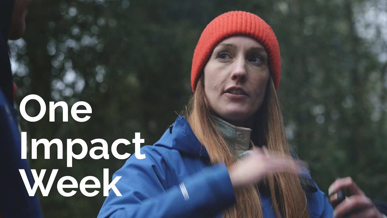 Watch One Impact Week on YouTube.