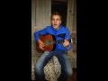 Dalmatino - Ljubav jedina (cover by Dino Petrić)