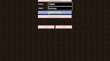 Minecraft - Custom NPC