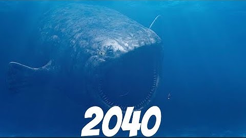 Evolution of Bloop | 4