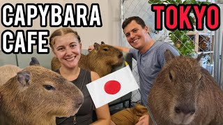 Capybara Café in Tokyo  Best animal cafe in Japan?