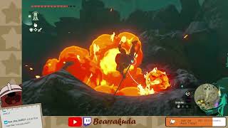 Legend of Zelda Tears of the Kingdom - Stream 29: Side Quests and Shield Surfing