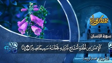سورة الإنسان | تلاوة خاشعة للقارئ محمد الربيعة - من مختارات التلاوات