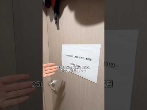2500년동안 그대로 보존된 미이라ㅋㅋ thumbnail