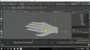 Maya 2018 Hand modeling | Rigging | Paint skin weight tool