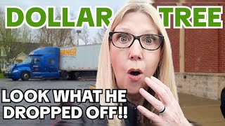 All New Items! DOLLAR TREE shop with me