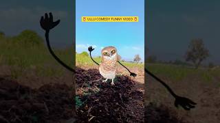 Ullu Comedy Funny Video