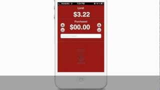 Budg-it for iPhone (Available in App Store) screenshot 5