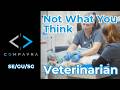 Should You Become a Vet? Half the Job Isn't Animals