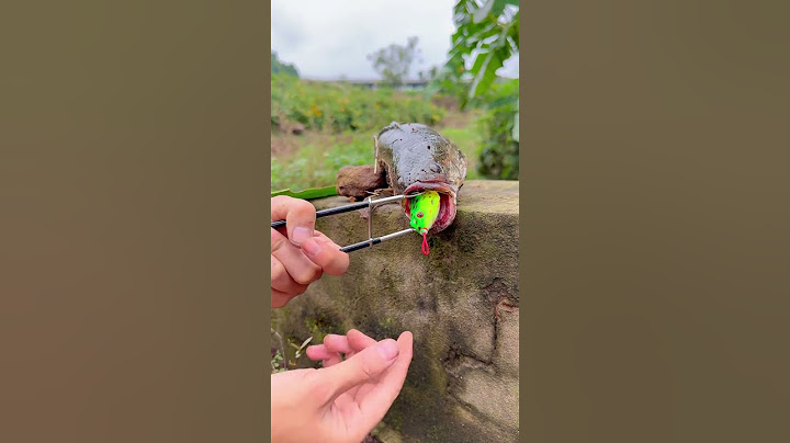 Cây gỡ lưỡi mồi nhái hơi câu cá lóc, cá trê siêu tốc 😍🎣#fish #fishing #shorts