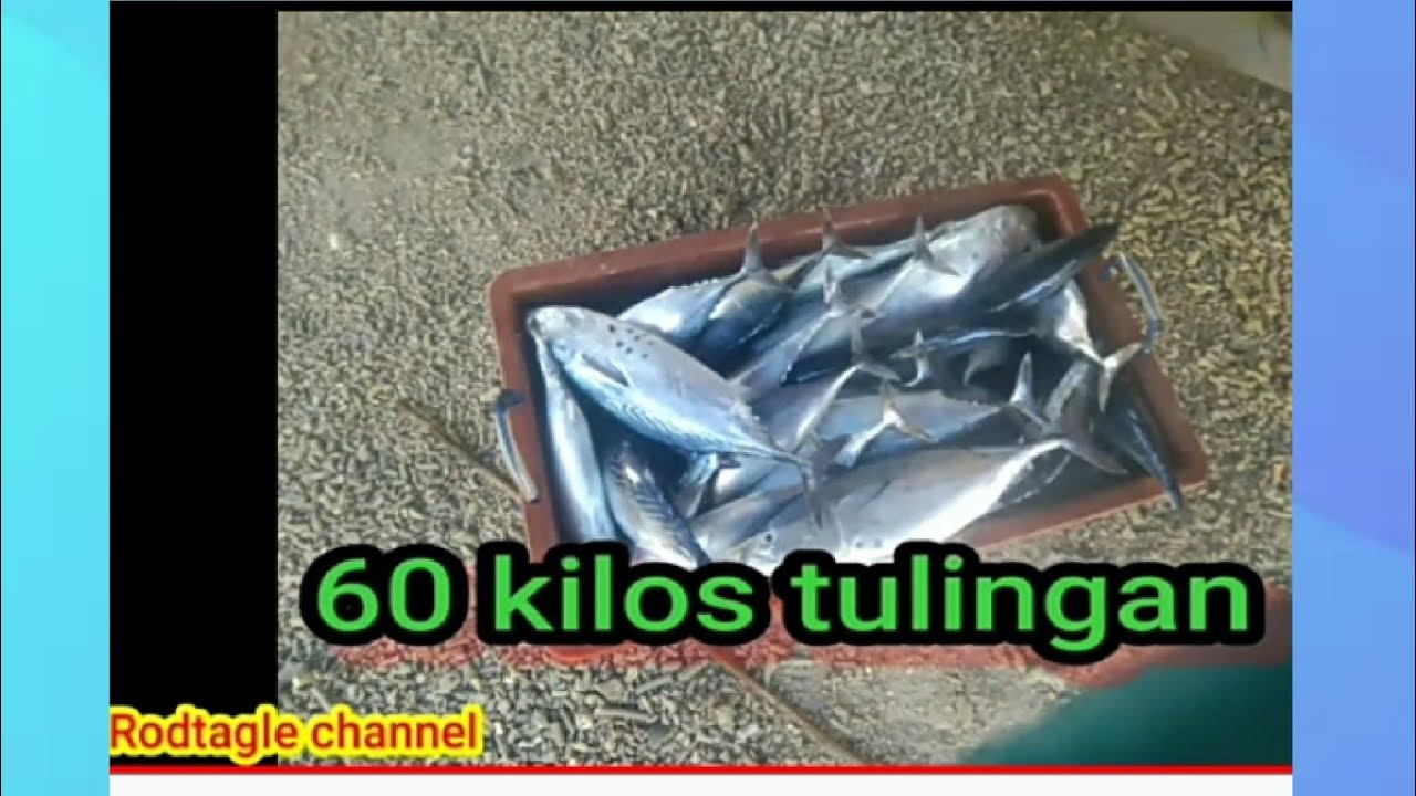 FISHING ADVENTURE GAMIT ANG SINGLE TAPSAY PARA SA TULINGAN