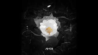 Avicii - What Would I Change It To (Instrumental)
