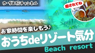 ✈おうちdeリゾート気分