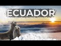 Еквадор 🏔 Сходження на Чимборасо (6263 м) та Котопаксі (5897 м). Галапагоські острови