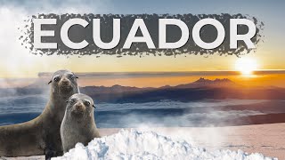 Еквадор 🏔 Сходження на Чимборасо (6263 м) та Котопаксі (5897 м). Галапагоські острови