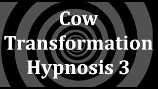 Cow Transformation 3 Hypnosis