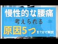 慢性的な腰痛の原因について考えられる5つの原因を説明します！／物理的な痛み、認知、背外側前頭前皮質の酸素不足、セロトニン不足など