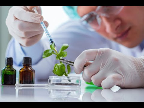 Impacts of Biotechnology in Modern Society (6 Minutes Microlearning)