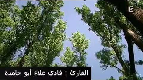 أيات من سورة الشمس ..بصوت القارئ فادي علاء أبو حامدة