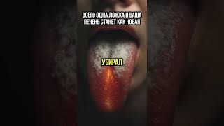 Как почистить печень?