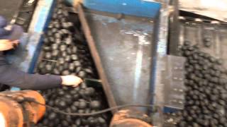 ACAN Briquetting Machine Manufacturer