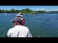 Greg butler catches trout with hookem hecky on sacramento river