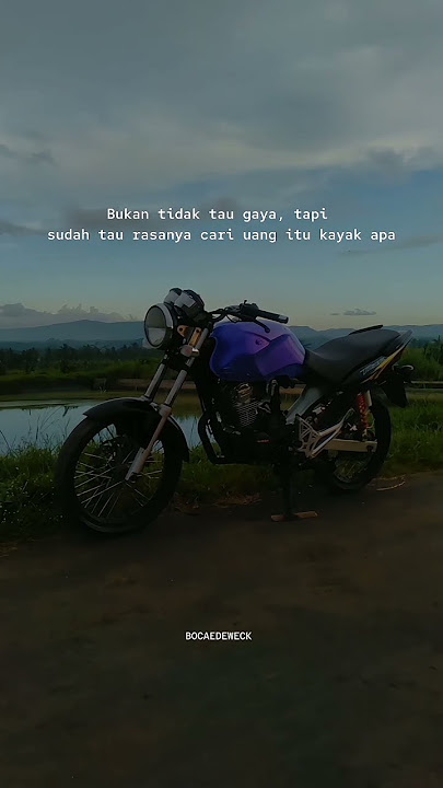 STORY WHATSHAP 30 DETIK HONDA TIGER REVO #shorts