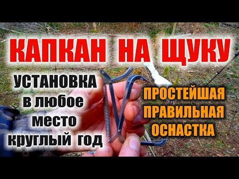 Капкан для щуки своими руками