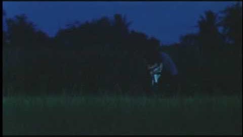 映画『ハブと拳骨』予告編