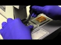 Paraffin Embedding Process Quiz