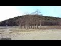 Парк, озеро или долина Сукко - Болотные кипарисы недалеко от Анапы, Россия
