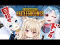 【 PUBG 】昼活♡ 目指せドン勝♡ うに視点！！！！【 狼森うに / 狼森ぱすた / 潮江いさみ / Vtuber 】
