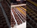 Amazing Swiss Chocolate Store In Interlaken ЁЯНлЁЯЗиЁЯЗн Amazing Swiss Chocolate Store In Interlaken ЁЯНлЁЯЗиЁЯЗн